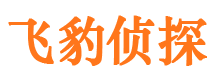 正阳市私家侦探